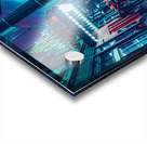 DSC04188 Acrylic print