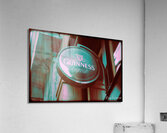 DSC01297 Acrylic Print