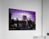 DSC00242 Acrylic Print