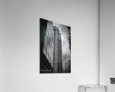 DSC03051 Acrylic Print