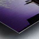 DSC00242 Metal print