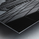 DSC03051 Metal print