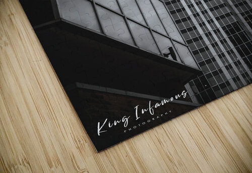 DSC03051 King Infamous Photography puzzle