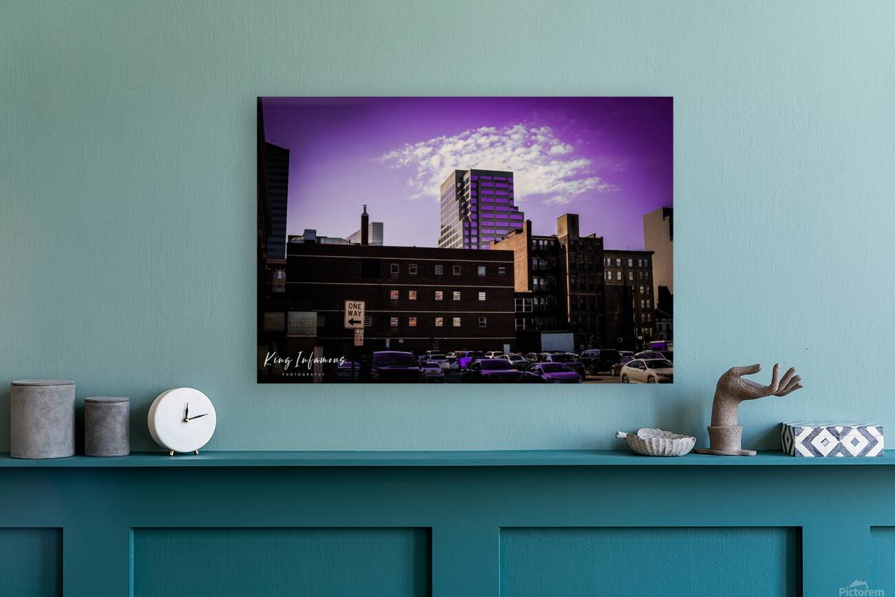 DSC00242 Reproduction