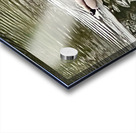 Ripple Acrylic print