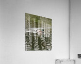 Ripple Acrylic Print