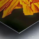 pollination Metal print