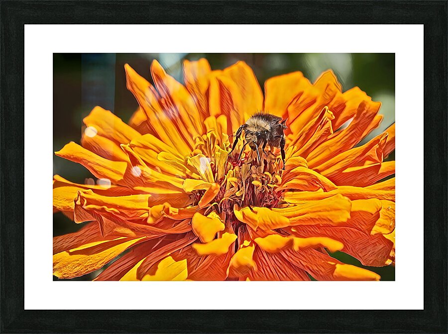 pollination Picture Frame print