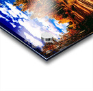 Pumpkin Path Acrylic print