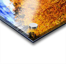 Pumpkin Glen Acrylic print