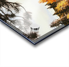 The Bones Acrylic print