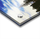 Pumpkin Vibes Acrylic print