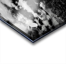 Horse Sky Acrylic print