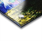 The Stars and the Dirt Acrylic print