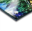 Through the Forest Acrylic print