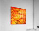 A Painted Orbit Acrylic Print