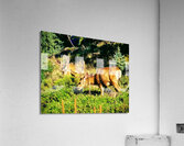 It s A Date Acrylic Print