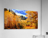 Pumpkin Glen Acrylic Print