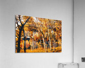 The Haunted Hall Acrylic Print