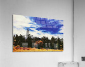 Pumpkin Vibes Acrylic Print