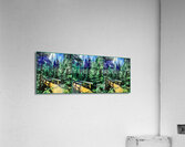 Through the Forest Acrylic Print