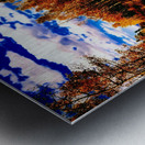 Pumpkin Path Metal print