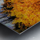 Pumpkin Glen Metal print
