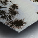 The Bones Metal print