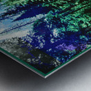 Through the Forest Metal print