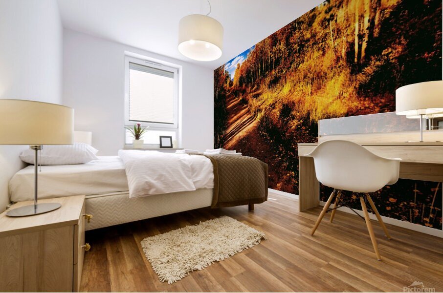 Pumpkin Path Mural print