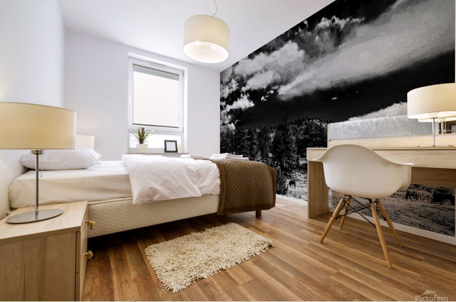 Horse Sky Mural print