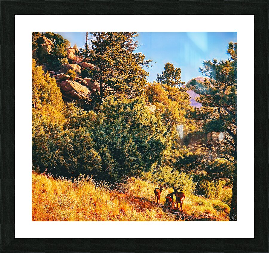 Rough Texture and Warm Light Picture Frame print