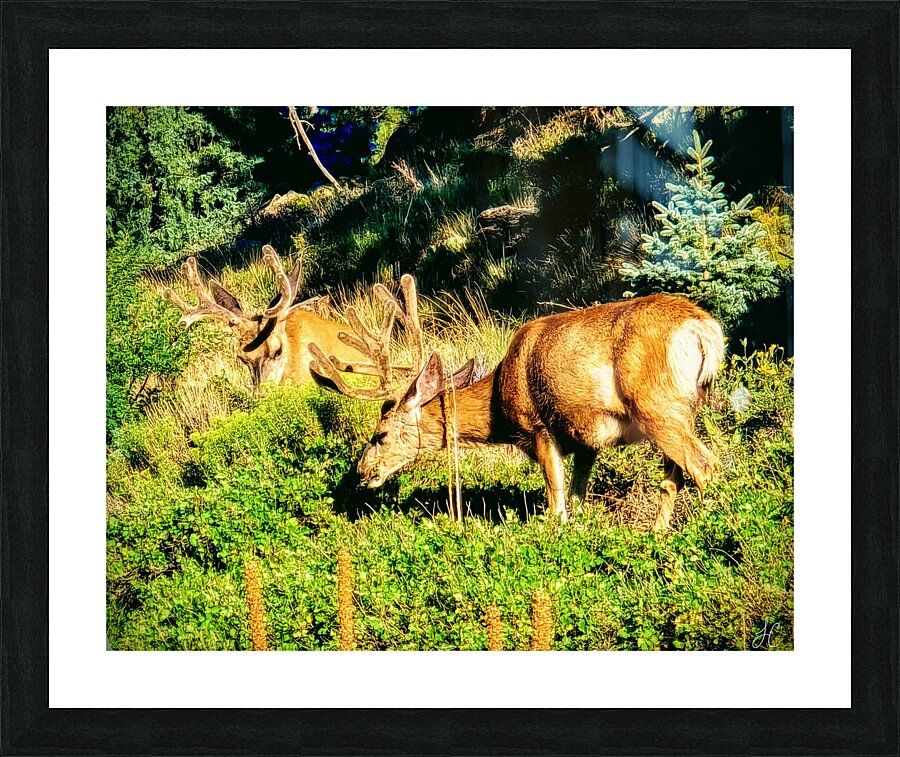 It s A Date Picture Frame print