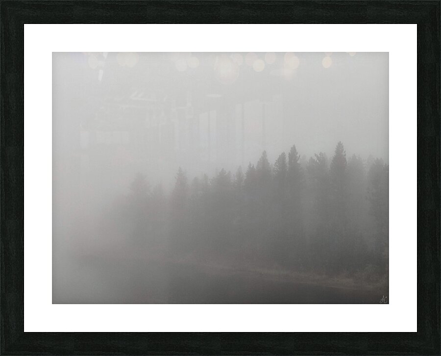 The Whispering Wood Picture Frame print