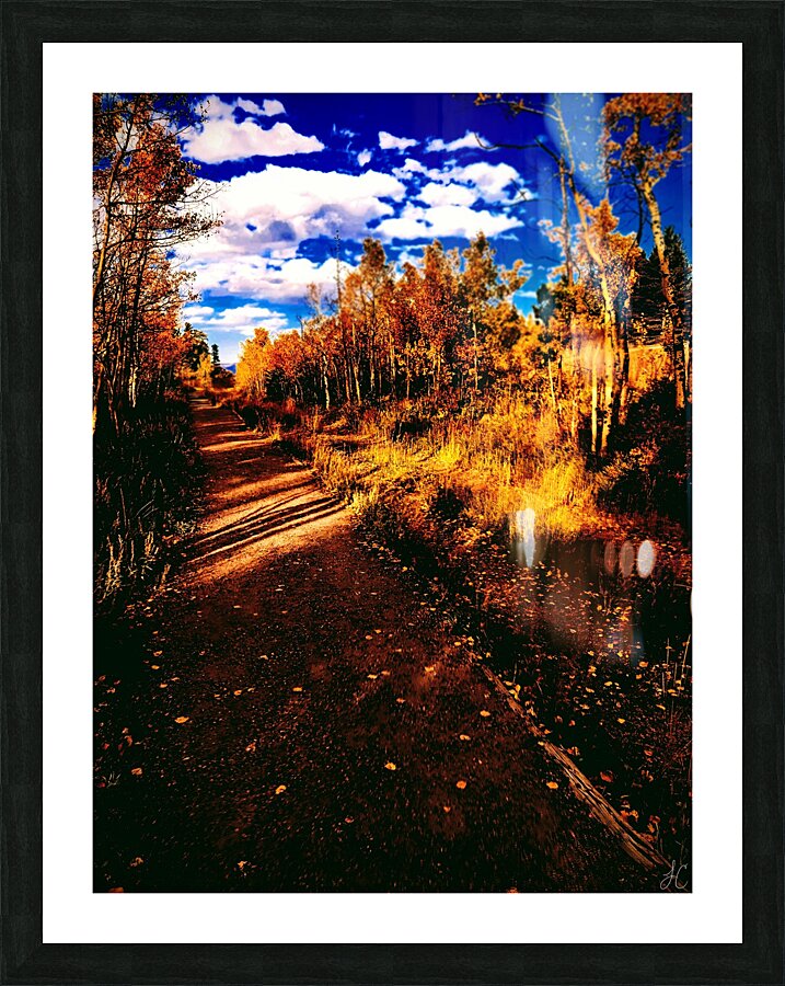 Pumpkin Path Picture Frame print