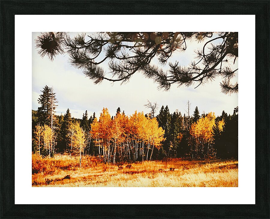 The Bones Picture Frame print