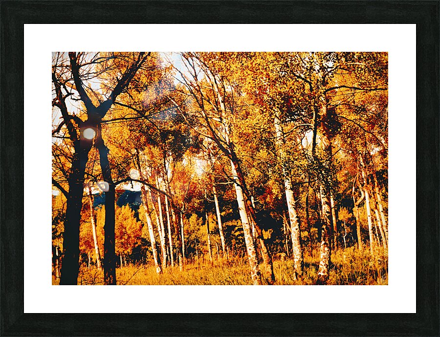 The Haunted Hall Picture Frame print