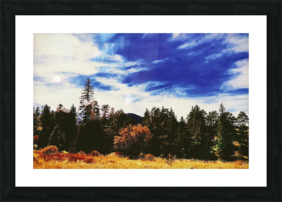 Pumpkin Vibes Picture Frame print