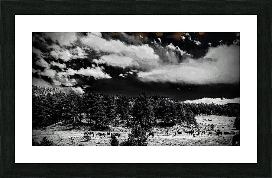 Horse Sky Picture Frame print