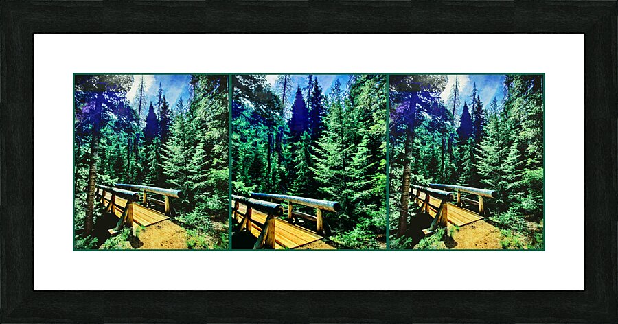 Through the Forest Picture Frame print