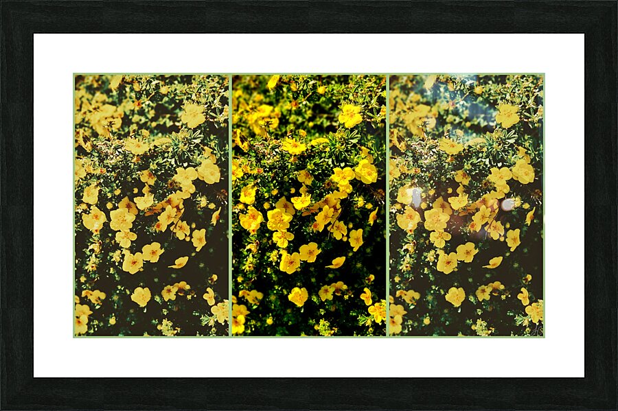 Butter Print Picture Frame print