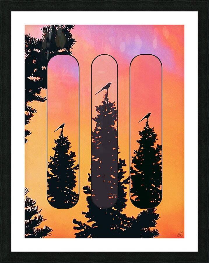 Retro Birds Picture Frame print