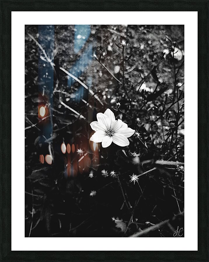 Burst Picture Frame print