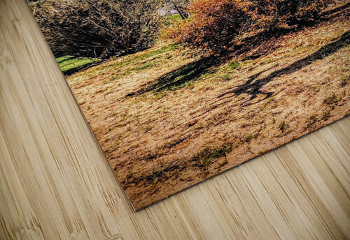 Drama King Elk Ell Cee puzzle