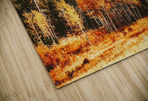 The Bones Ell Cee puzzle