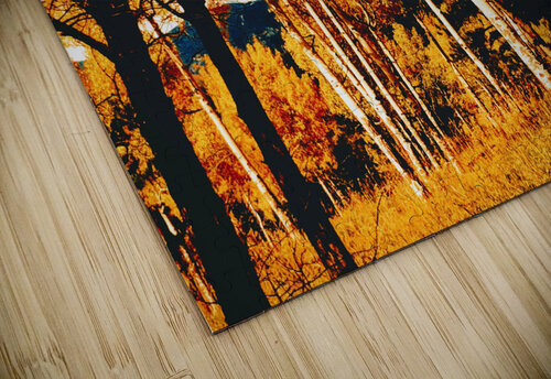 The Haunted Hall Ell Cee puzzle