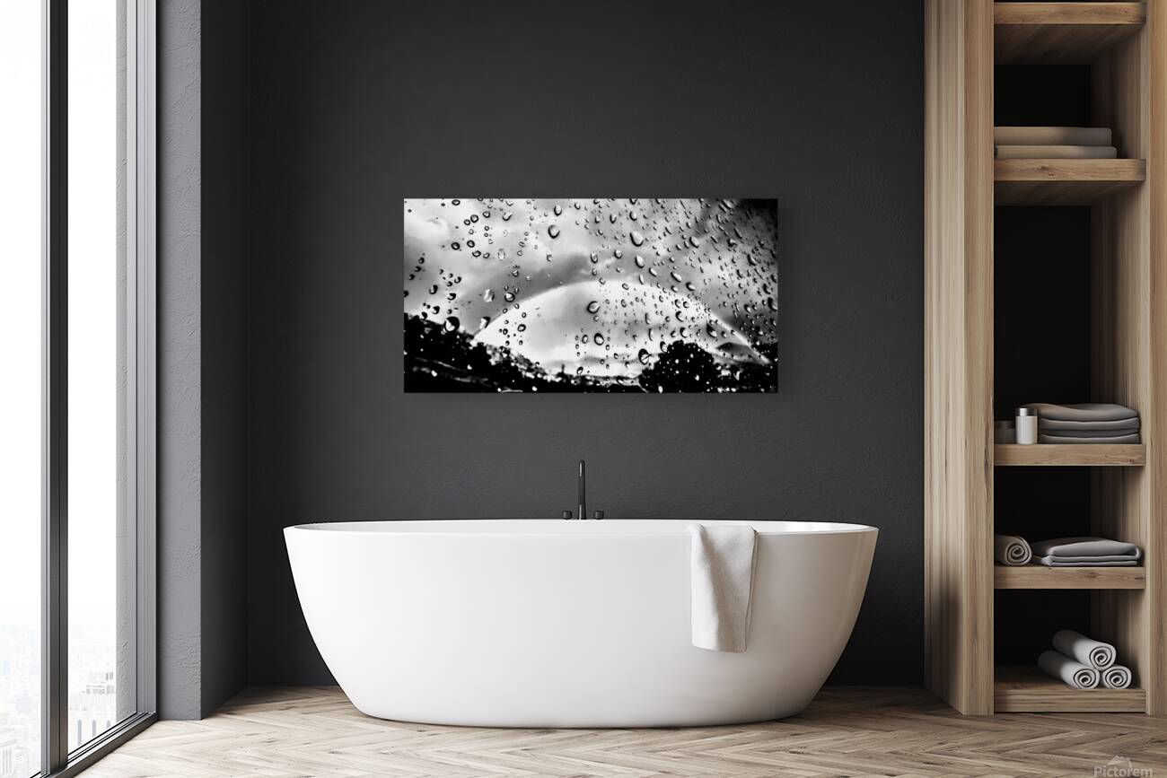 Silver  Rainbow Reproduction