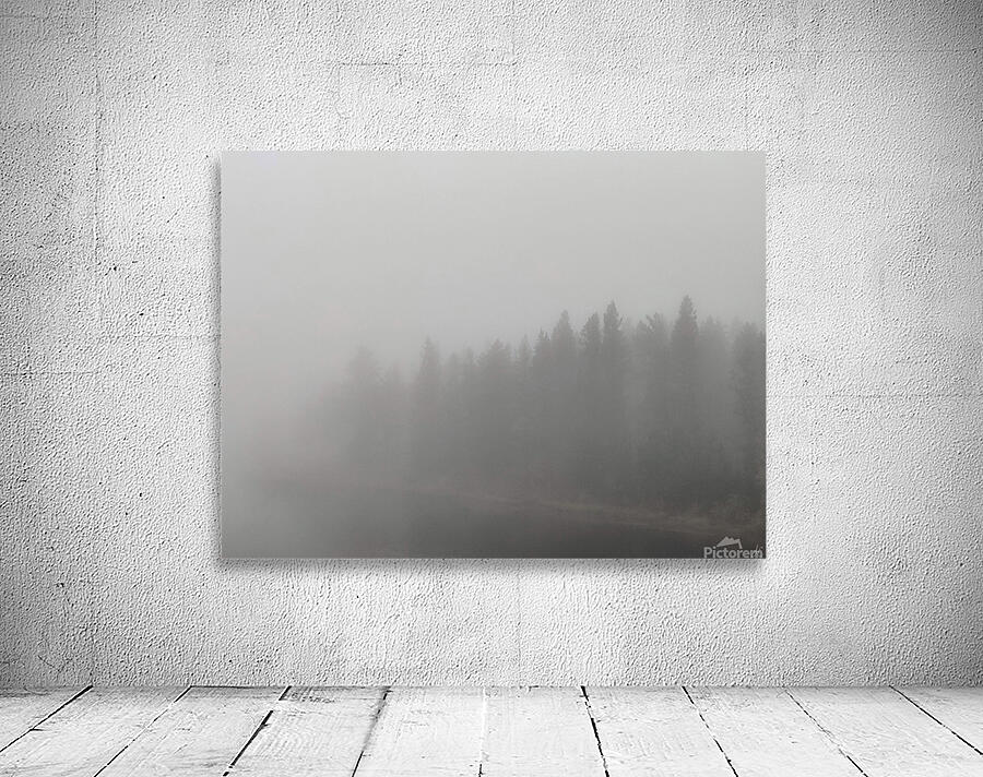 The Whispering Wood Wall Preview