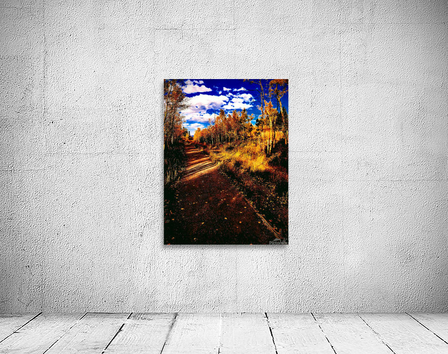 Pumpkin Path Wall Preview