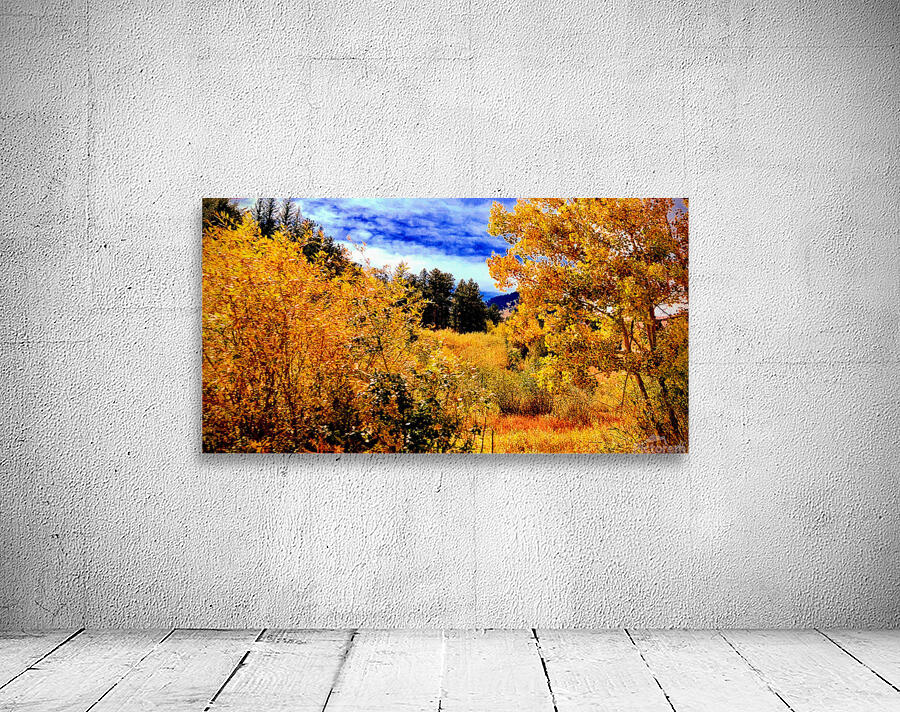 Pumpkin Glen Wall Preview